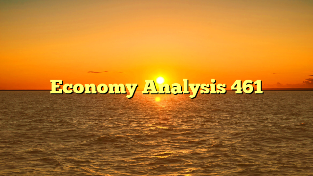 Economy Analysis 461