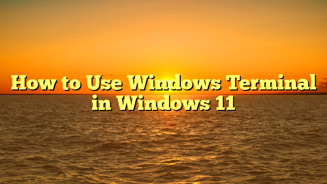 How to Use Windows Terminal in Windows 11